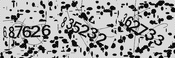 Please enable image downloads in your browser.