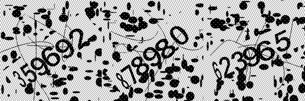 Please enable image downloads in your browser.