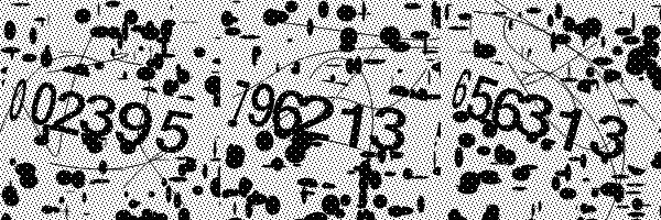 Please enable image downloads in your browser.